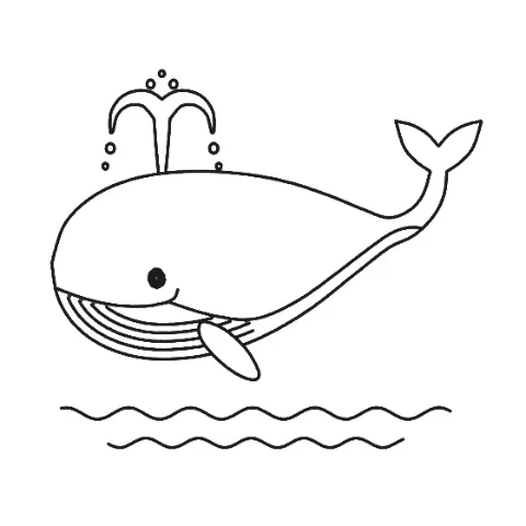 Happy Whale, a colouring page