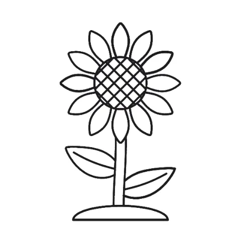 Sunflower, a colouring page