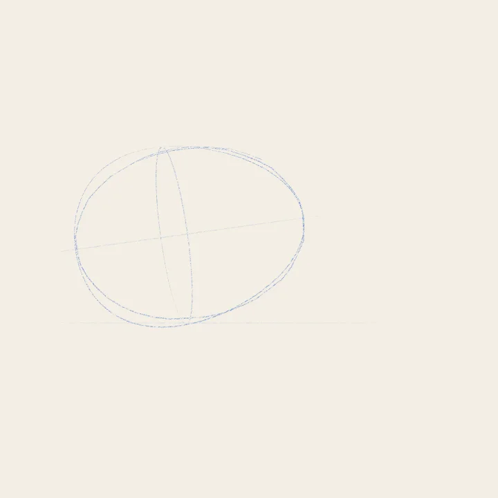 Step 2: An ovoid, not an ellipse