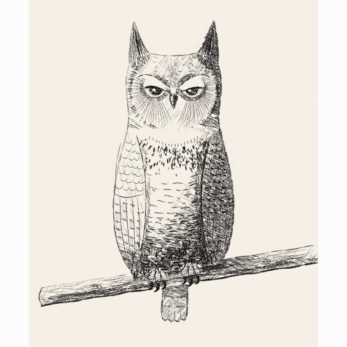 Animals from Life: a picture from the course