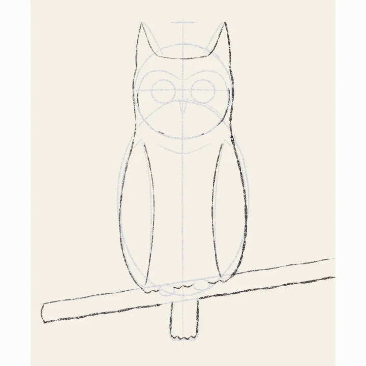 Step 4: Find the outline