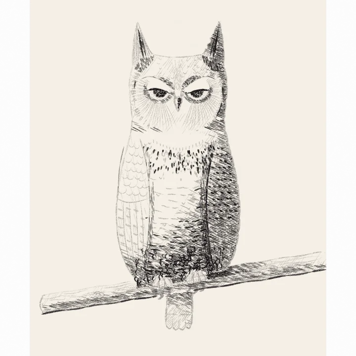 Step 9: Draw the rest of the owl
