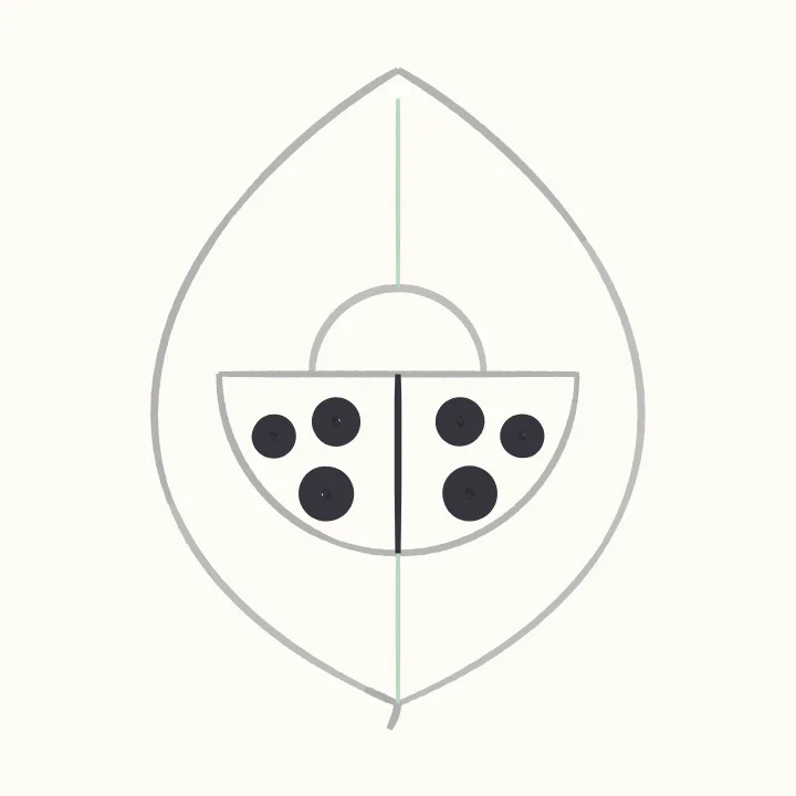 Step 4: Matching spots
