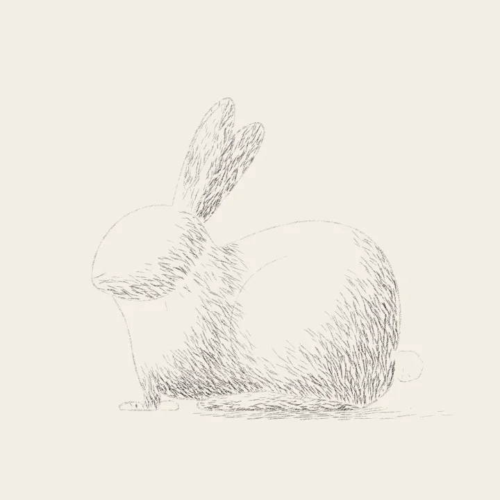 Step 6: Shadows, the way the fur grows