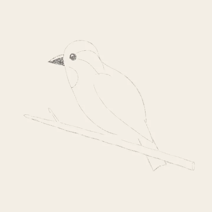 Step 5: Beak, eye and the head's pattern