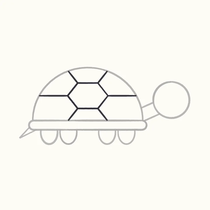 Step 4: A pattern on the shell